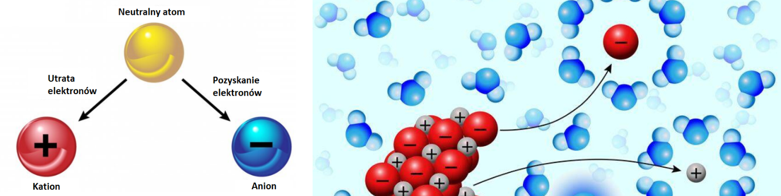 Jony ujemne i dodatnie
