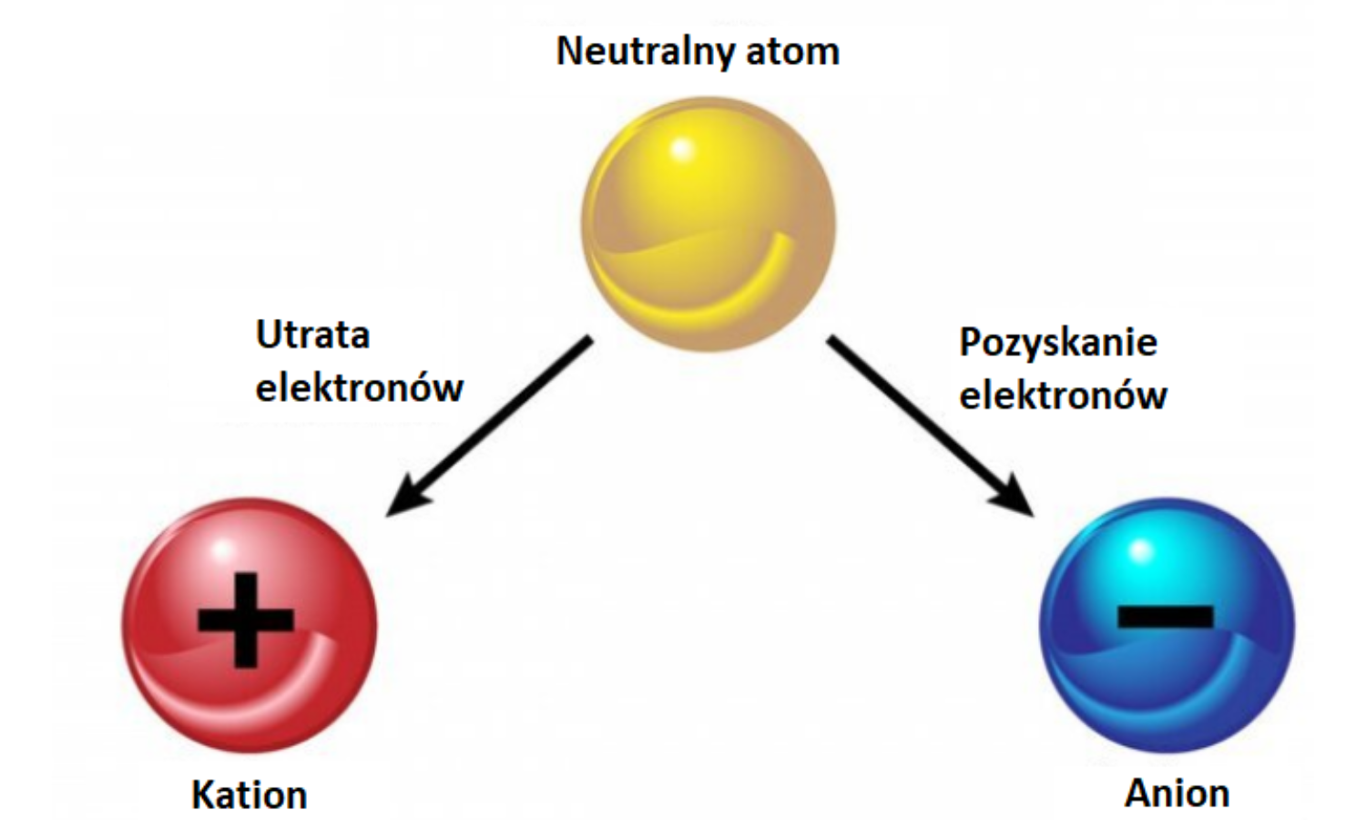 Jony ujemne i dodatnie mobile